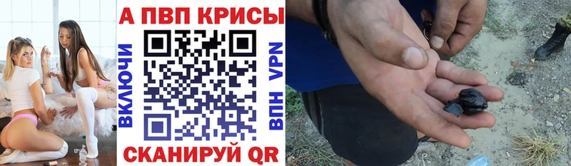 Альфа ПВП СК Каспийск