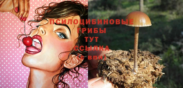 соль курить ск Лабытнанги