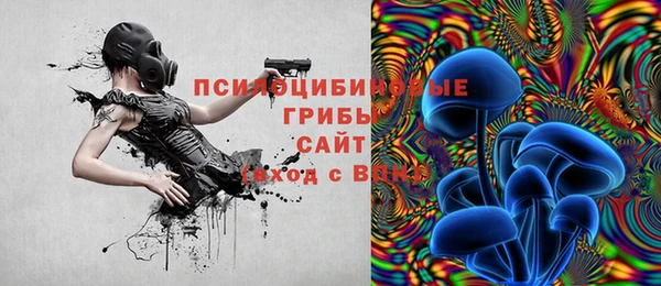 кокс Ладушкин