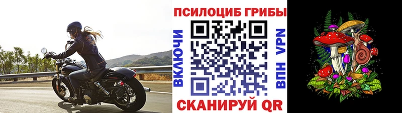 Псилоцибиновые грибы Magic Shrooms  Купить закладки  Каспийск 